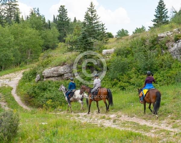 Sandia Wilderness with Enchantment Equitreks