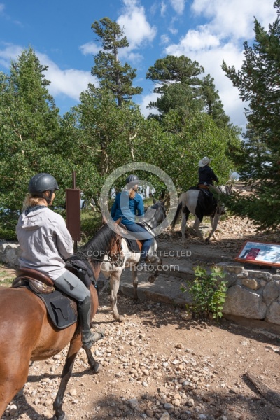 Sandia Wilderness with Enchantment Equitreks