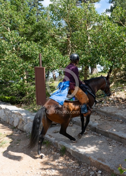 Sandia Wilderness with Enchantment Equitreks