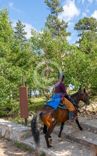 Sandia Wilderness with Enchantment Equitreks