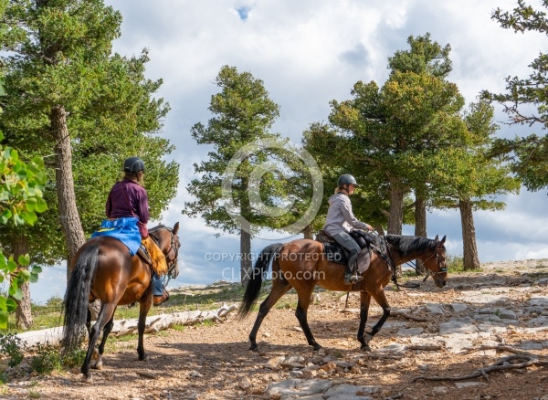 Sandia Wilderness with Enchantment Equitreks