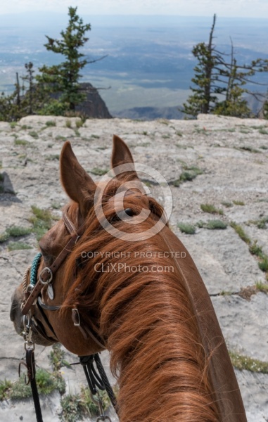 Sandia Wilderness with Enchantment Equitreks