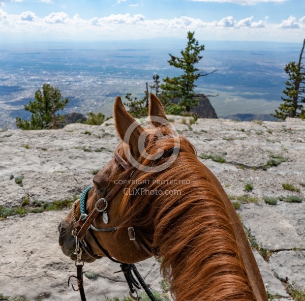 Sandia Wilderness with Enchantment Equitreks