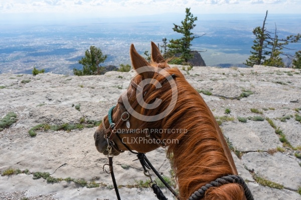 Sandia Wilderness with Enchantment Equitreks
