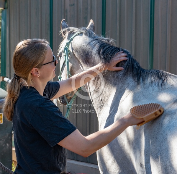 At the Ranch Enchantment Equitreks