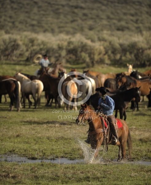 Cowgirls at Sombrero Ranch