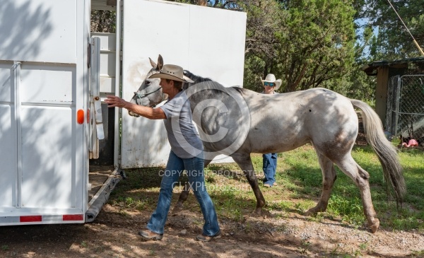 Trailering Enchantment Equitreks