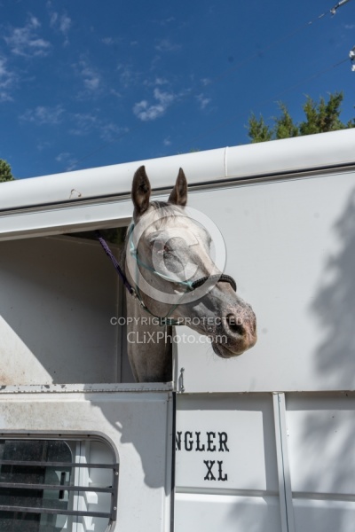 Trailering Enchantment Equitreks