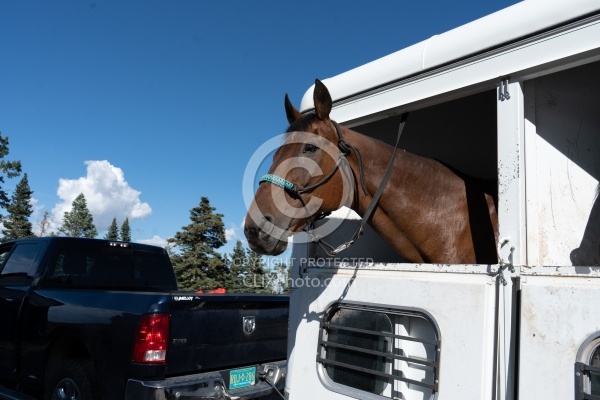 Trailering Enchantment Equitreks