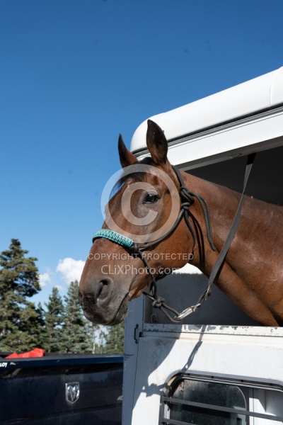 Trailering Enchantment Equitreks