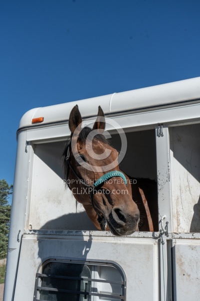 Trailering Enchantment Equitreks