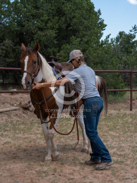 Working with Rescue Horse Enchantment Equitreks