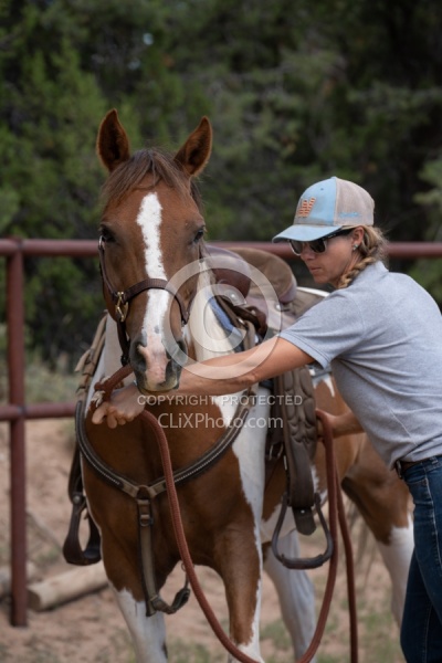Working with Rescue Horse Enchantment Equitreks