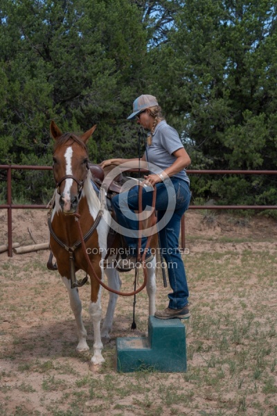 Working with Rescue Horse Enchantment Equitreks