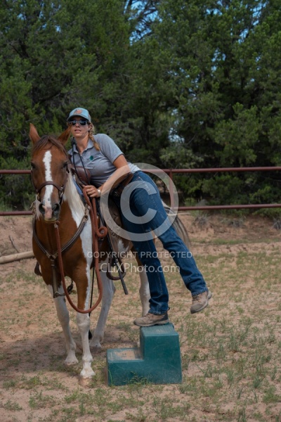 Working with Rescue Horse Enchantment Equitreks