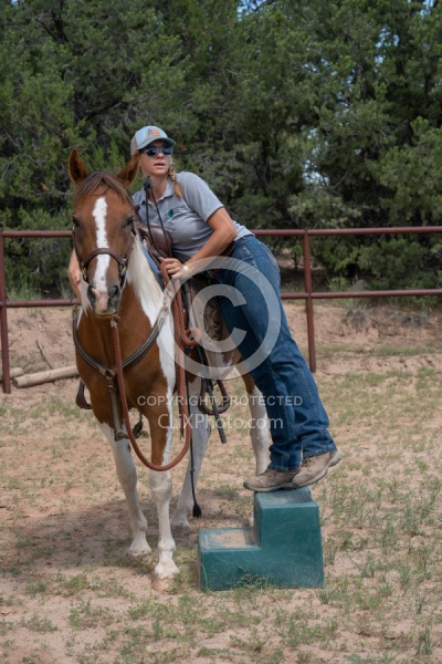 Working with Rescue Horse Enchantment Equitreks