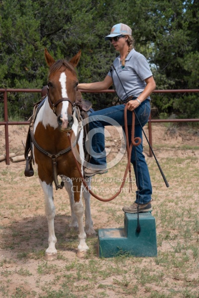 Working with Rescue Horse Enchantment Equitreks