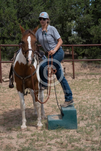 Working with Rescue Horse Enchantment Equitreks