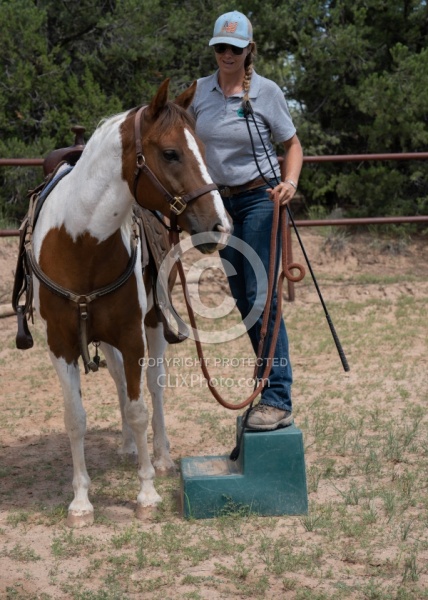 Working with Rescue Horse Enchantment Equitreks