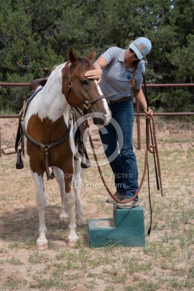 Working with Rescue Horse Enchantment Equitreks