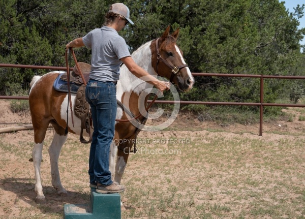 Working with Rescue Horse Enchantment Equitreks