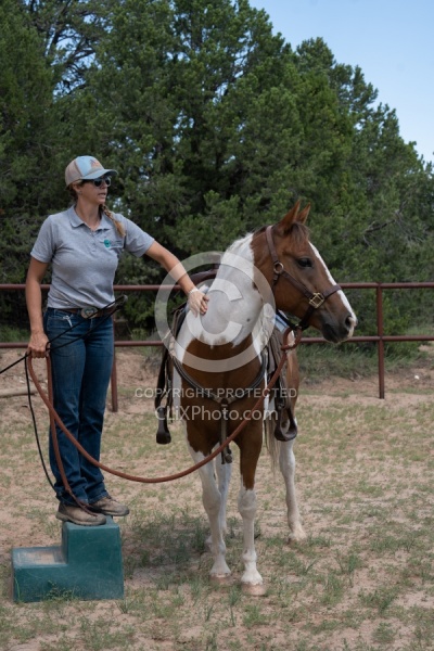 Working with Rescue Horse Enchantment Equitreks