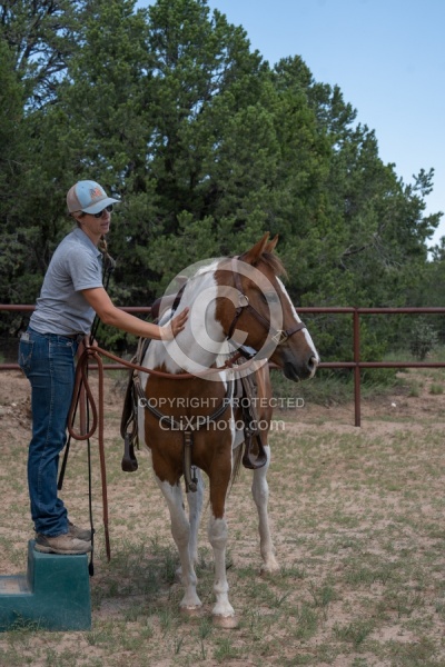 Working with Rescue Horse Enchantment Equitreks