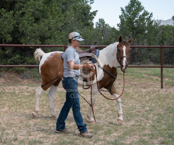Working with Rescue Horse Enchantment Equitreks