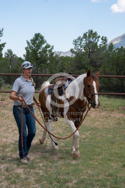 Working with Rescue Horse Enchantment Equitreks