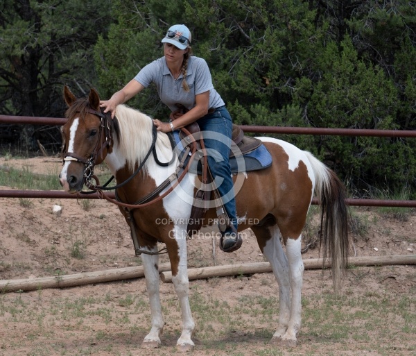 Working with Rescue Horse Enchantment Equitreks