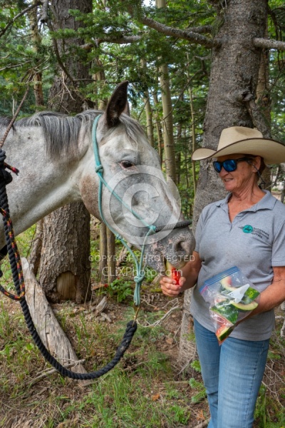Watermelon Snack at Lunch on the Trail