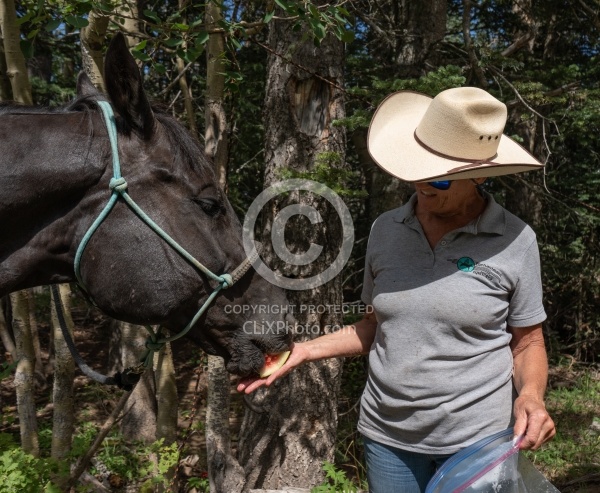 Watermelon Snack at Lunch on the Trail