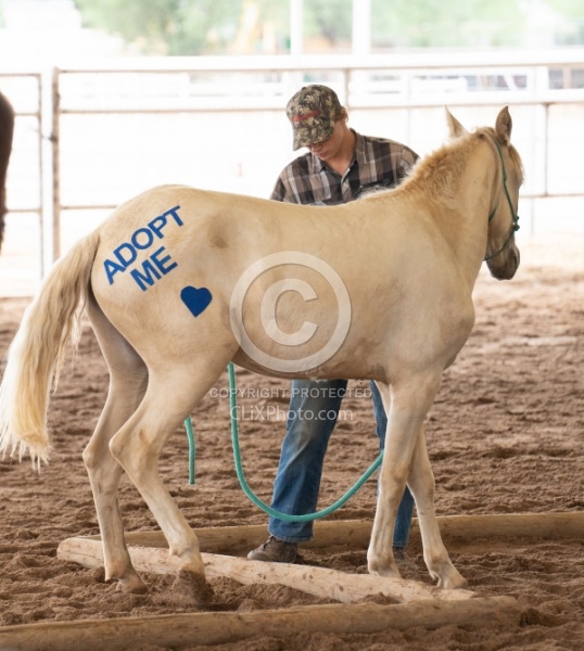 Walkin N Circles Adoptathon