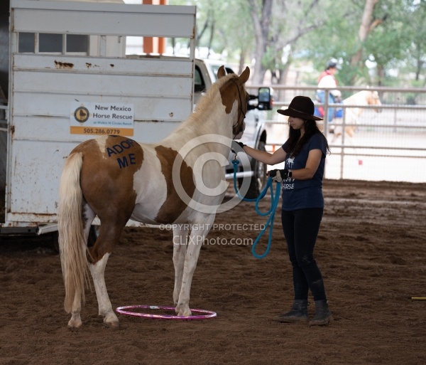 Walkin N Circles Adoptathon