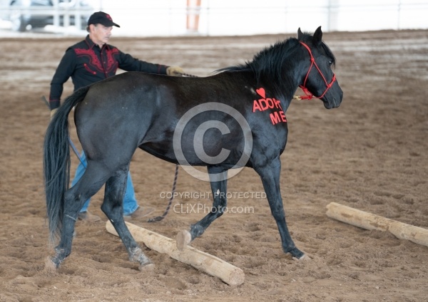 Walkin N Circles Adoptathon