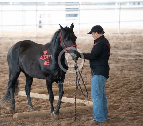 Walkin N Circles Adoptathon