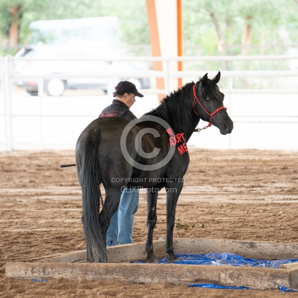 Walkin N Circles Adoptathon