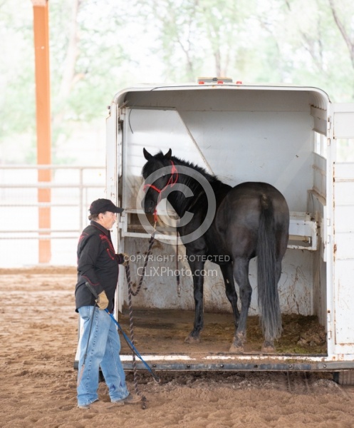 Walkin N Circles Adoptathon