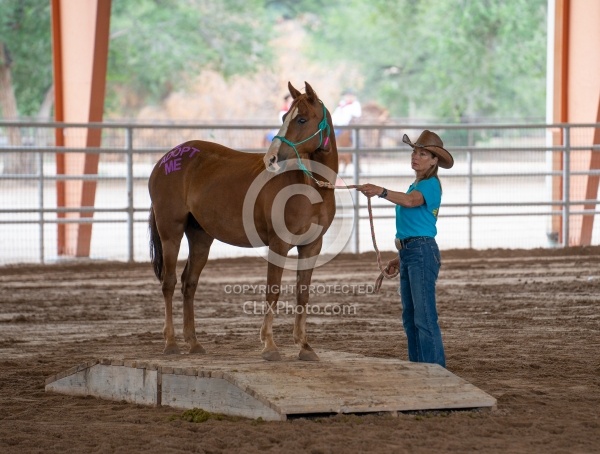 Walkin N Circles Adoptathon