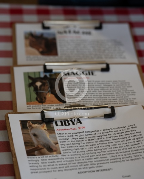 Walkin N Circles Adoptathon