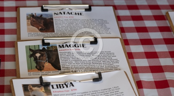 Walkin N Circles Adoptathon