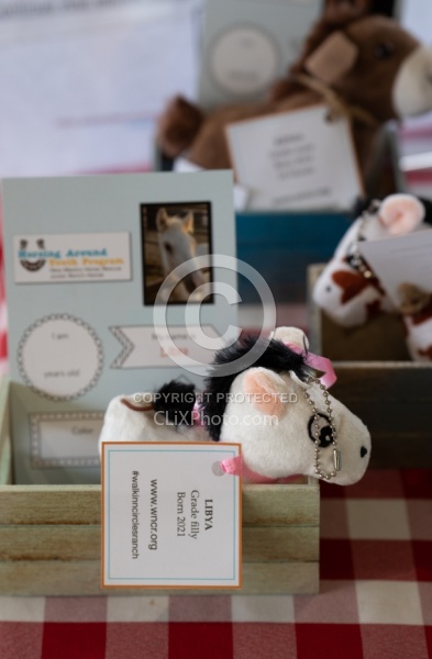 Walkin N Circles Adoptathon