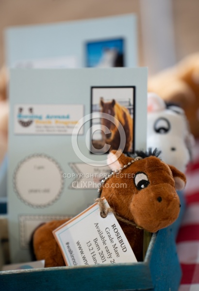 Walkin N Circles Adoptathon