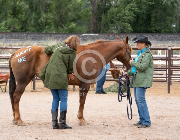Walkin N Circles Adoptathon