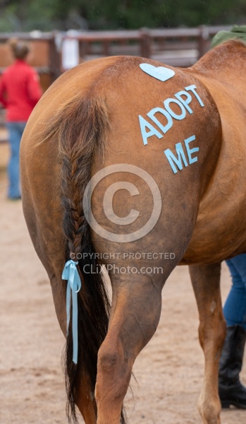 Walkin N Circles Adoptathon