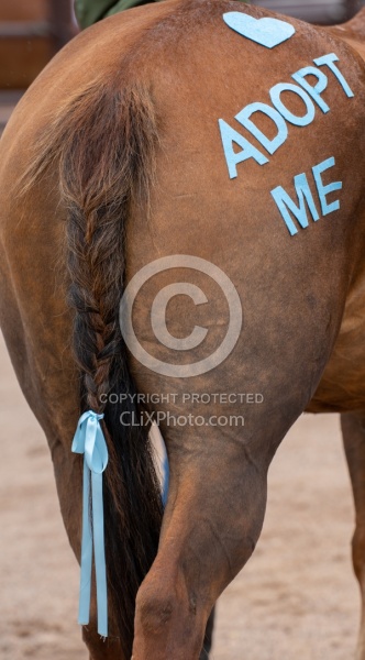 Walkin N Circles Adoptathon