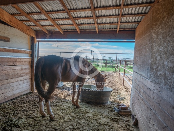 Walkin N Circles Horse Shelter