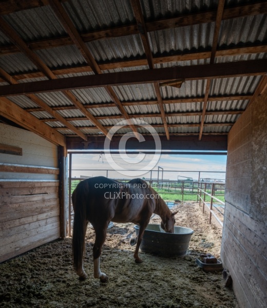 Walkin N Circles Horse Shelter