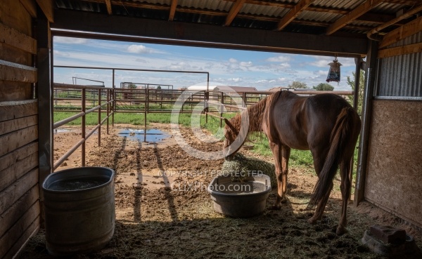 Walkin N Circles Horse Shelter