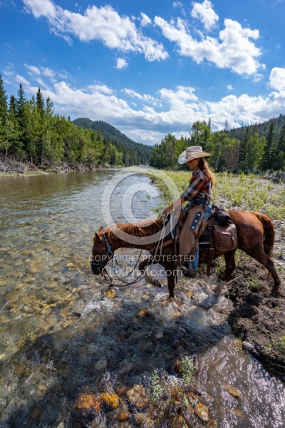 River Crossing on Lost Trail Ride Anchor D Outfitting